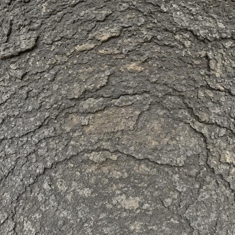 42363-3022680234-texture sculpture portrait dreaming beauty,  sandstone old natural treebark asphalt, still life _lora_entropy-alpha_0.25_.png